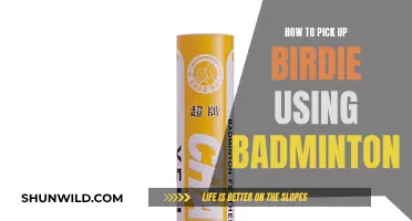 Picking Up Birdies: Badminton Basics