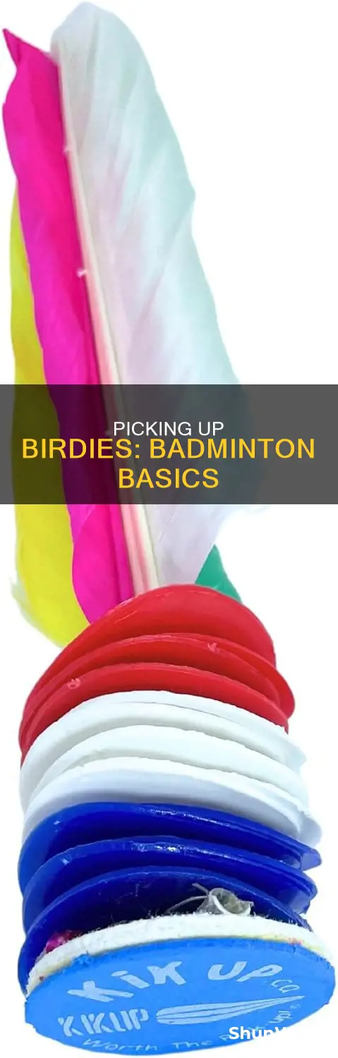 how to pick up birdie using badminton