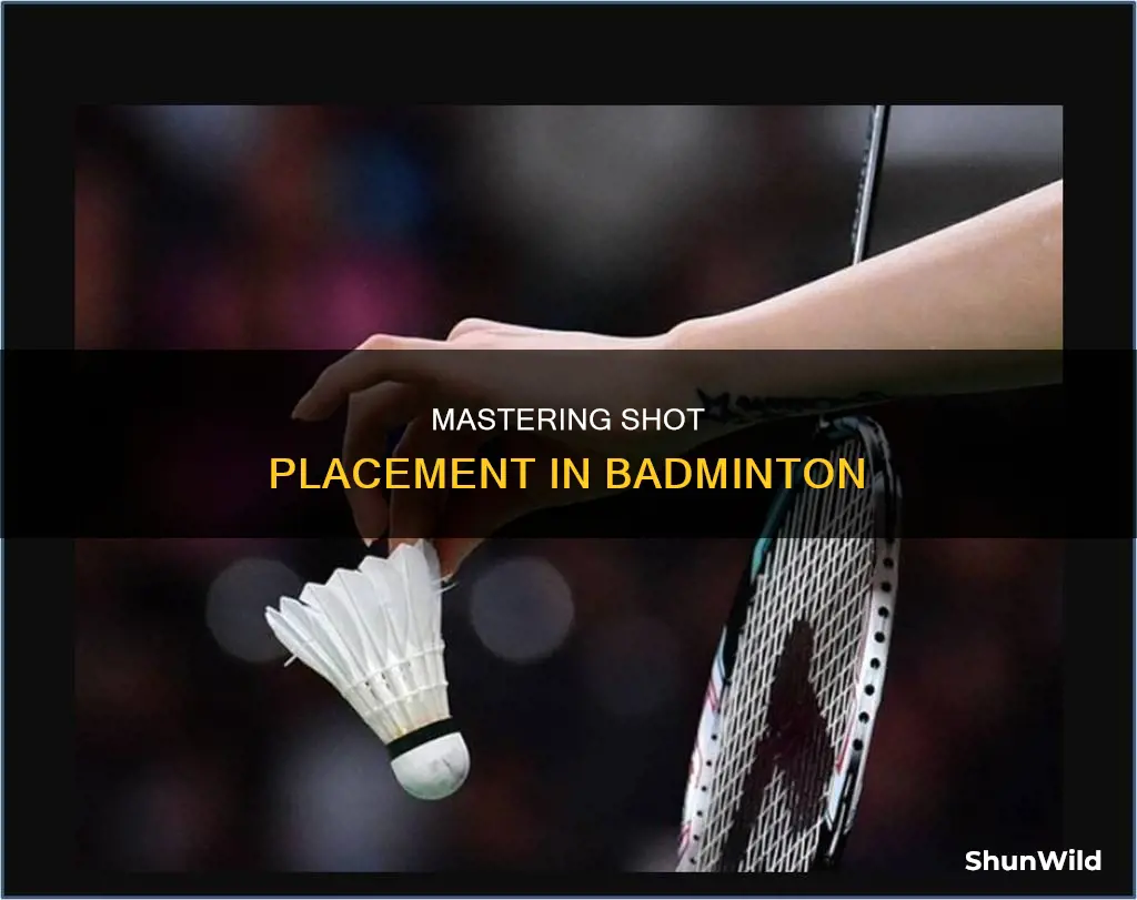 how to place shots in badminton
