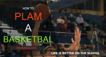 Mastering the Art of Palm Basketball