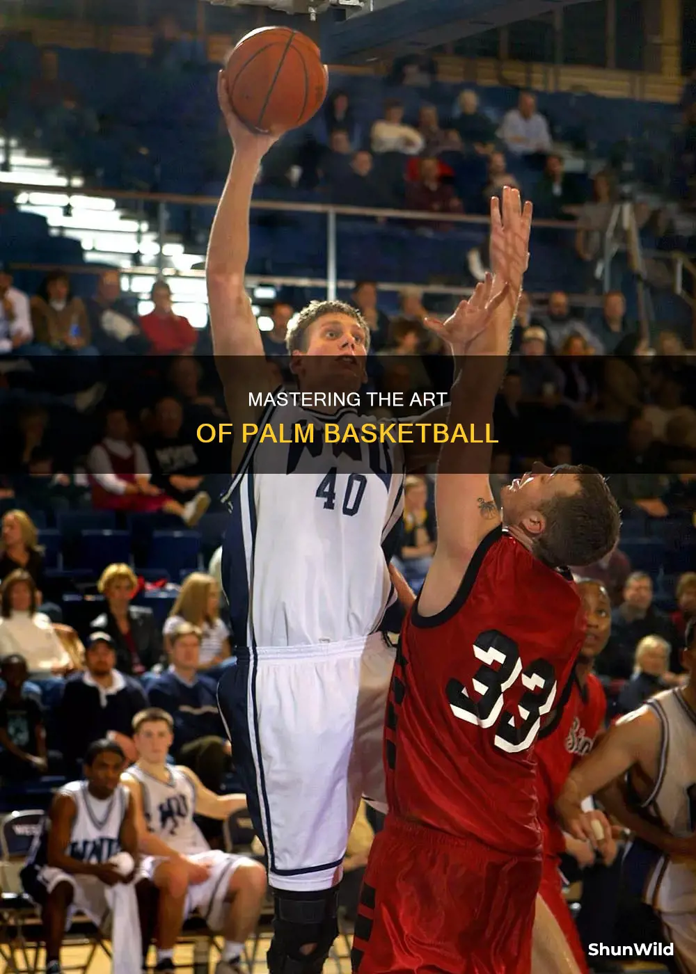 how to plam a basketball