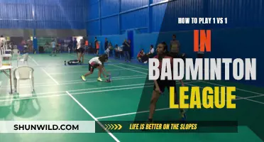 Mastering 1 vs 1 Badminton League Strategies