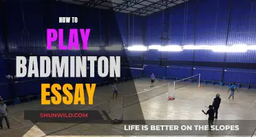 Badminton Basics: Techniques to Get Started