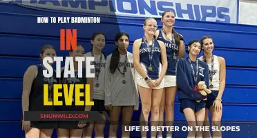Badminton Mastery: State-Level Strategies