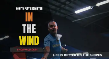 Playing Badminton in the Wind: Strategies for Success