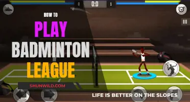Badminton League: Tips and Tricks to Win