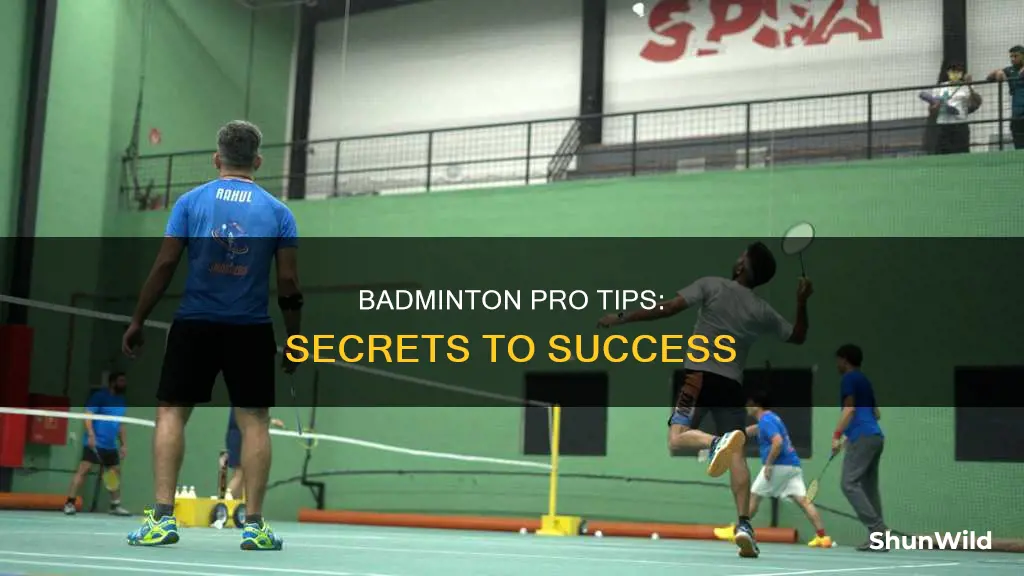 how to play badminton like a pro