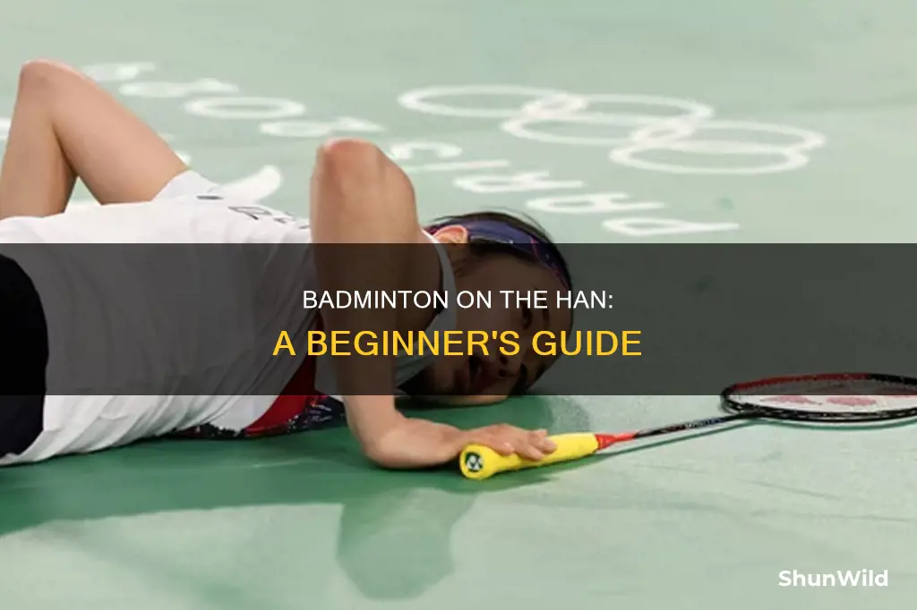 how to play badminton on han river
