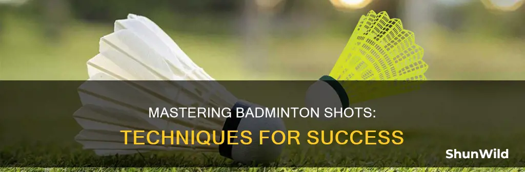 how to play badminton shots