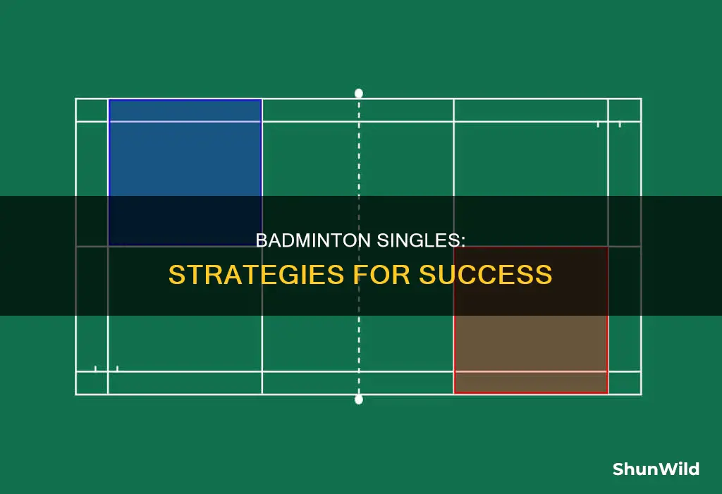how to play badminton singles
