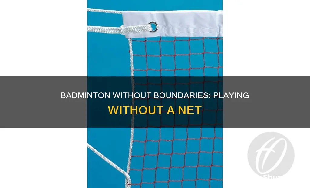 how to play badminton without a net