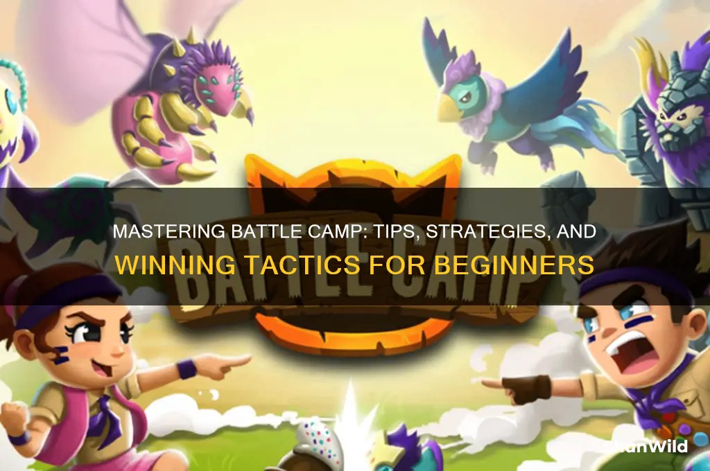 how to play battle camp
