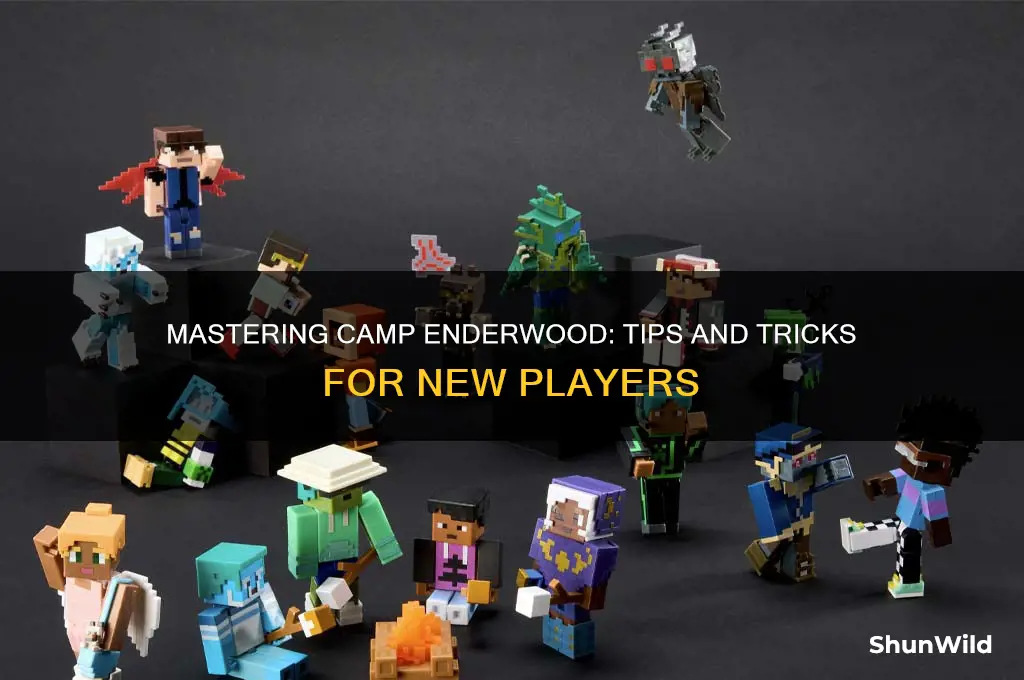 how to play camp enderwood