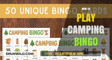 Camping Bingo Fun: A Step-by-Step Guide to Playing Outdoors