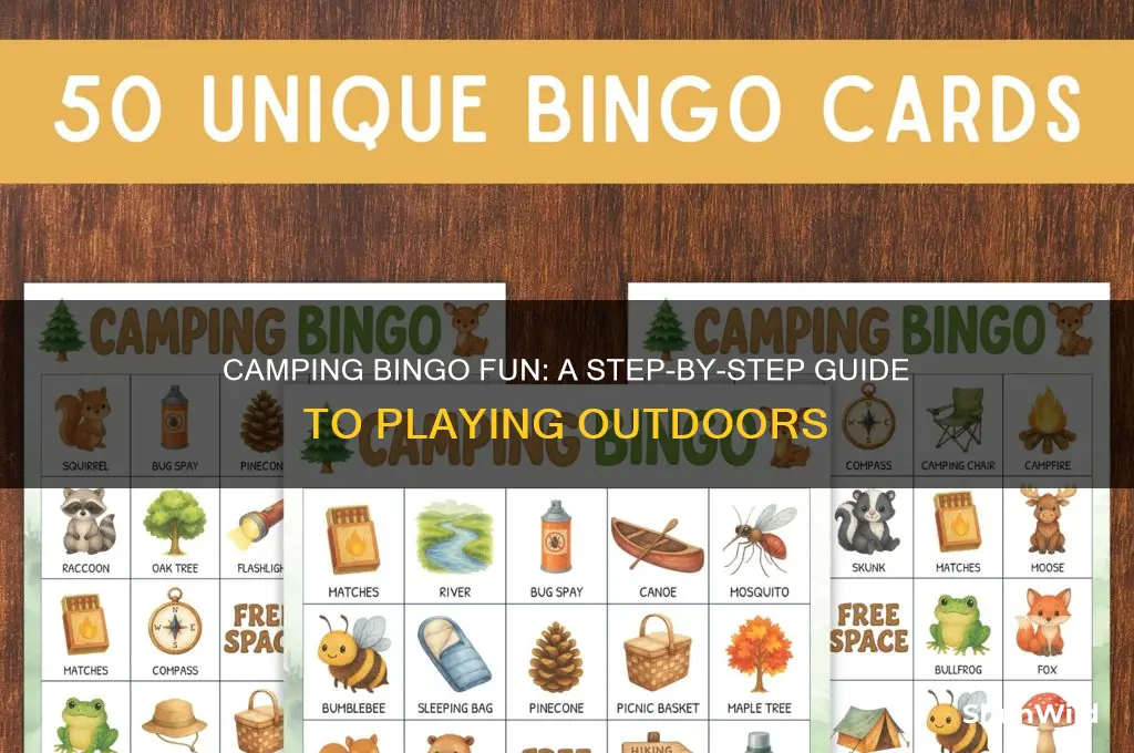 how to play camping bingo