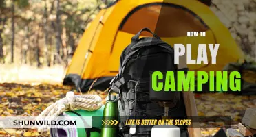 Master the Art of Camping: Tips, Tricks, and Essential Gear