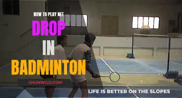 Net Drop Secrets: Mastering the Art of Deception