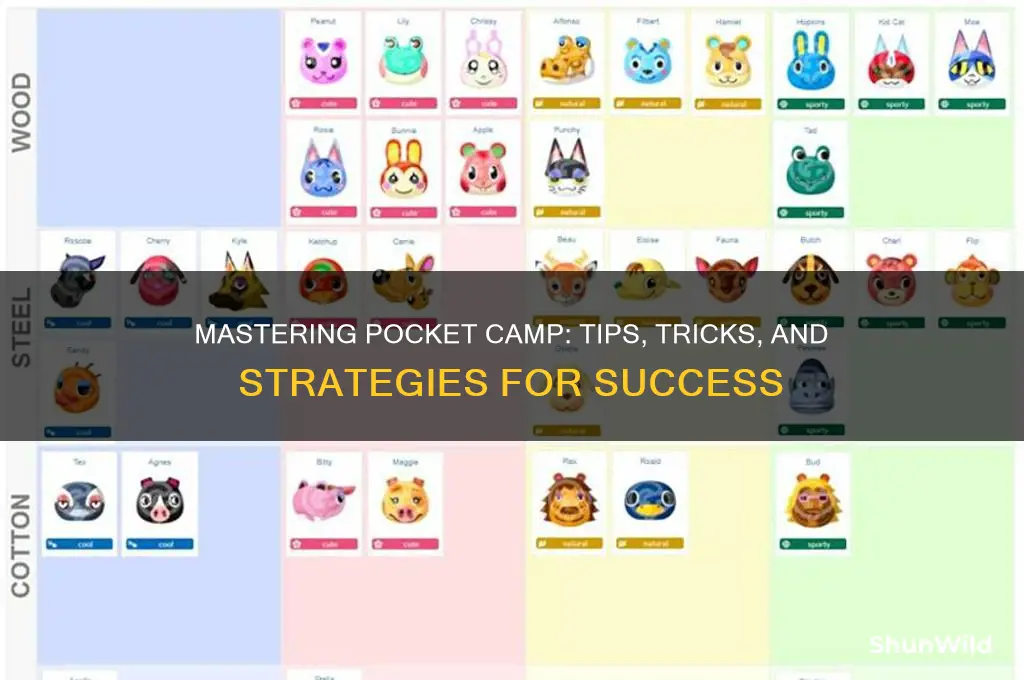 how to play pocket camp