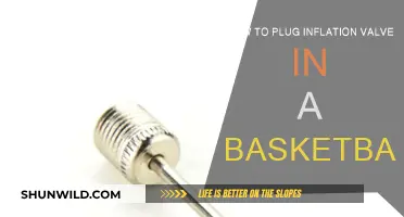 Inflating Basketballs: Plug Valve Precision