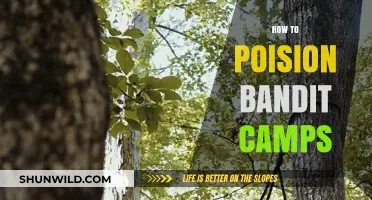 Mastering Stealth Tactics: How to Poison Bandit Camps Effectively