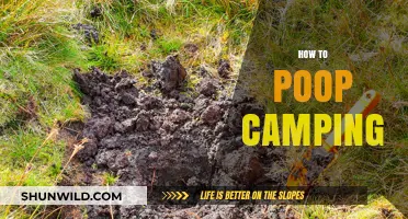 Mastering the Art of Pooping While Camping: Tips and Tricks