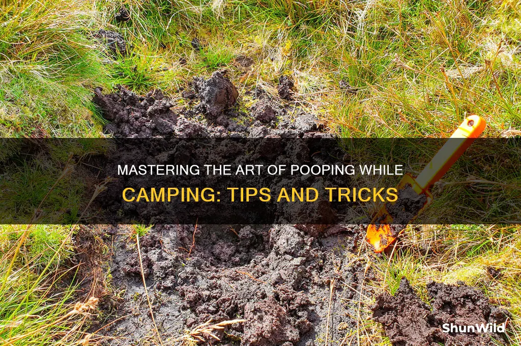 how to poop camping