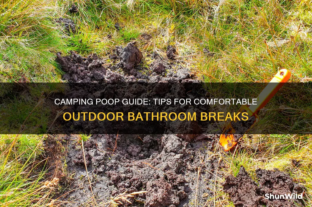 how to poop while camping