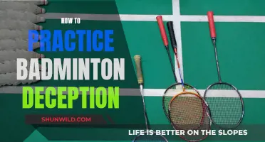 Mastering Deception in Badminton