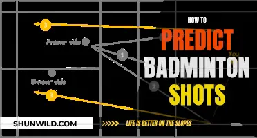 Mastering Badminton: Predicting Shots for Success