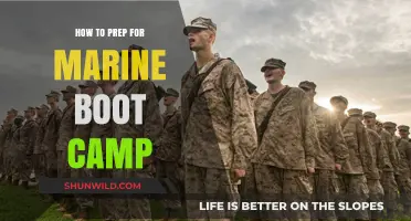 Essential Marine Boot Camp Prep Tips for Success and Readiness