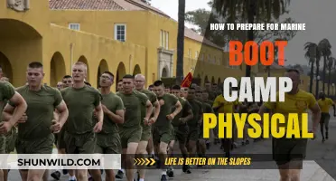 Mastering Marine Boot Camp Fitness: Essential Prep Tips for Success