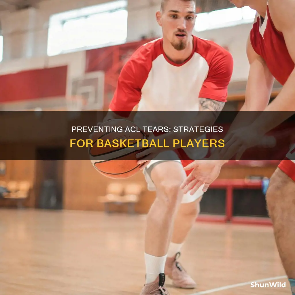 how to prevent acl tears in basketball