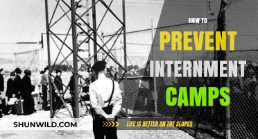 Preventing Injustice: Strategies to Stop Internment Camps from Happening