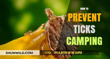 Essential Tick Prevention Tips for Safe and Enjoyable Camping Adventures