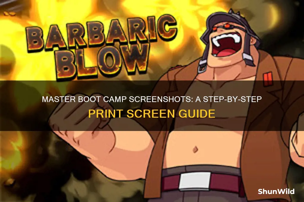 how to print screen on boot camp
