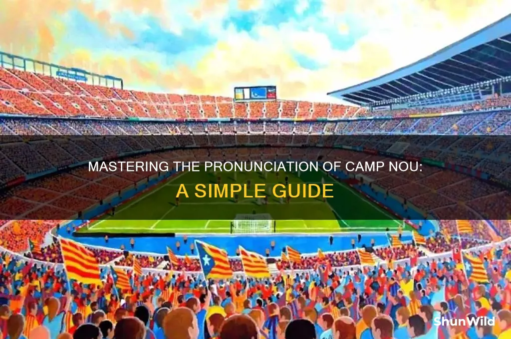 how to probounce camp nou