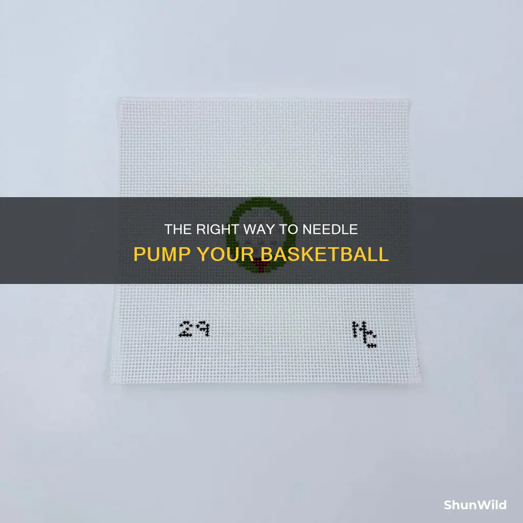 how to properly insert needle to pump basketball