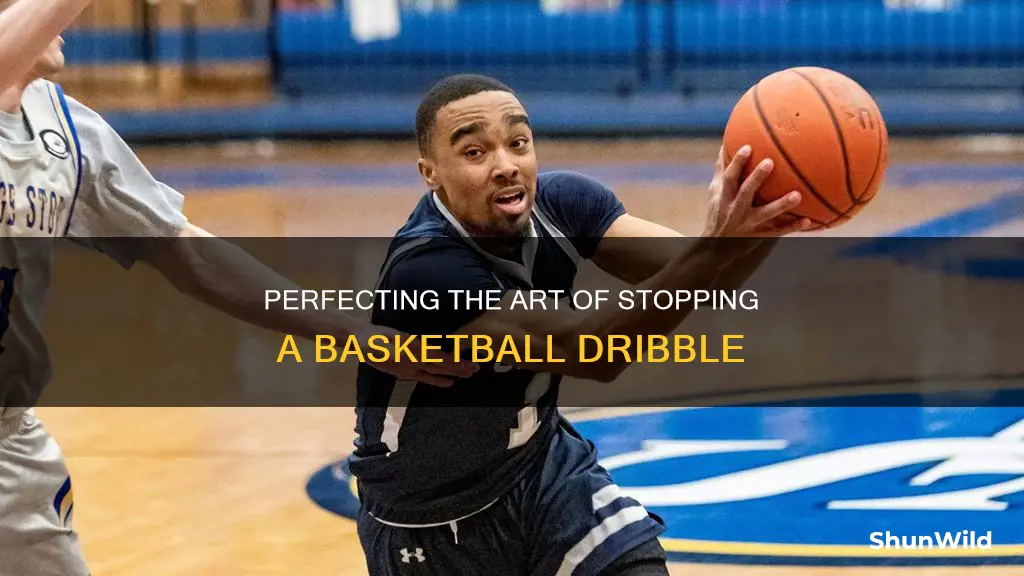 how to properly stop dribbling a basketball