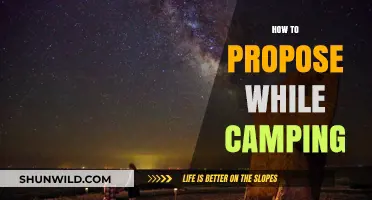 Under the Stars: Romantic Camping Proposal Ideas for Adventure Lovers