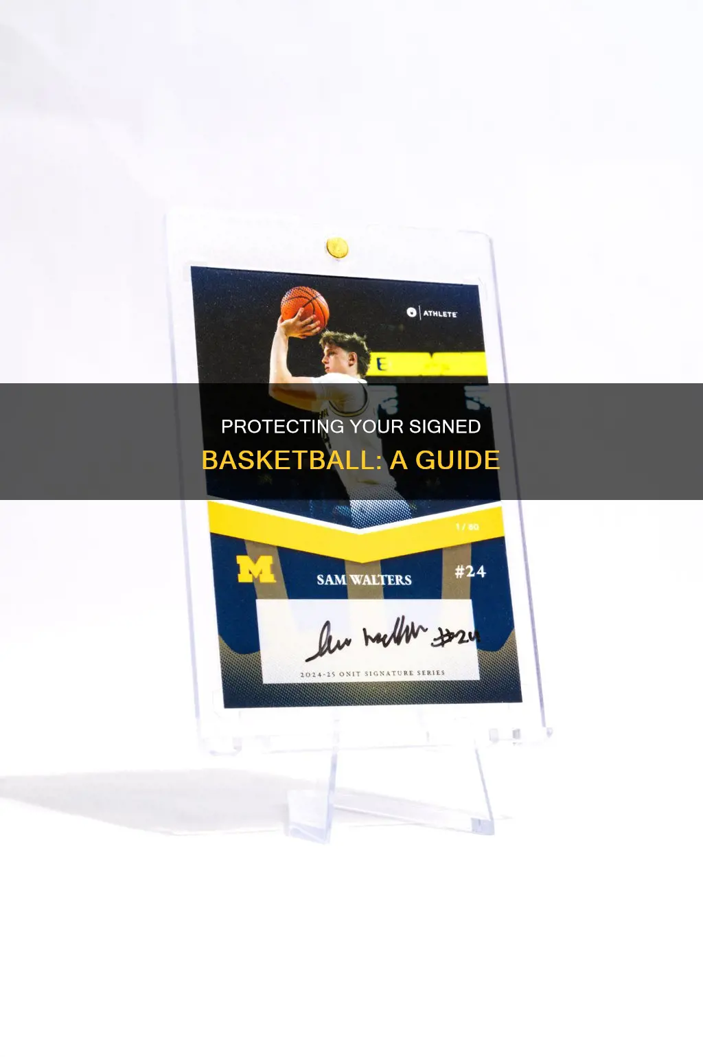 how to protect a signed basketball