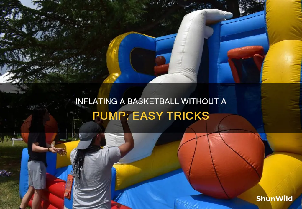 how to pump a basketball without a pump