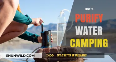 Essential Camping Water Purification Techniques for Safe Outdoor Adventures