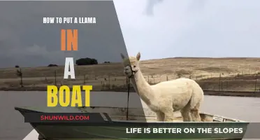 Putting a Llama on a Boat: A Step-by-Step Guide