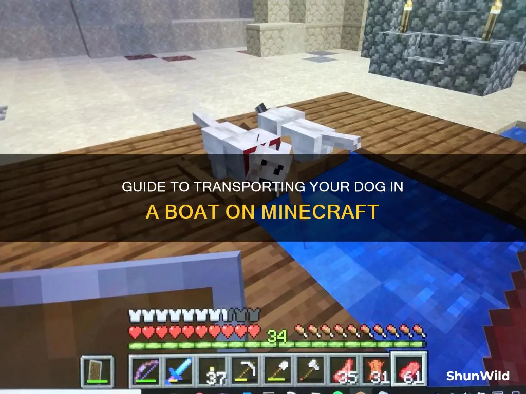 how to put dog in boat minecreaf