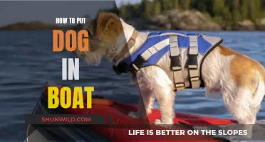 Putting Your Dog in a Boat: A Step-by-Step Guide