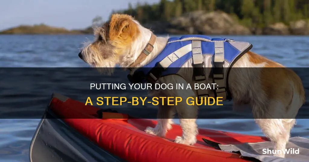 how to put dog in boat