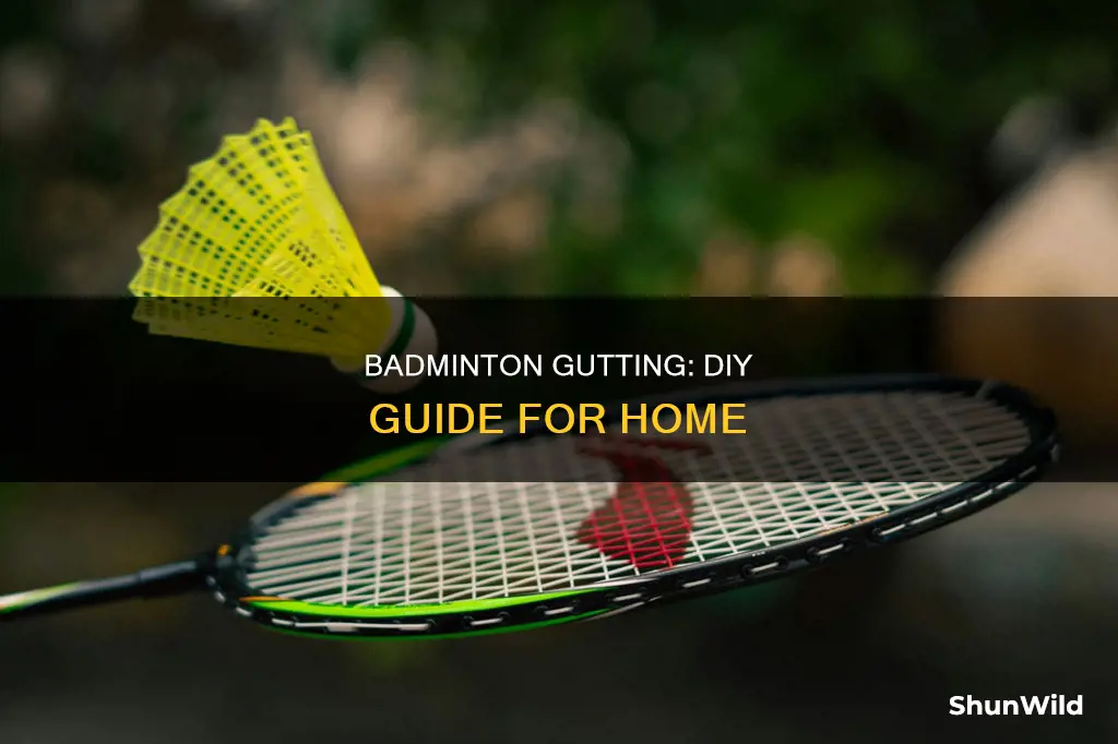 how to put gutting at home badminton