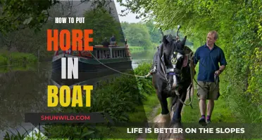 The Art of Loading a Horse onto a Boat