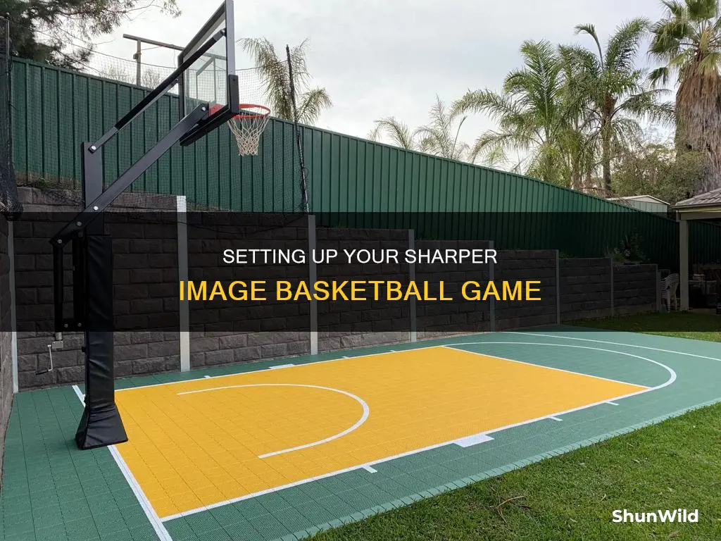 how to put up a sharper image basketball