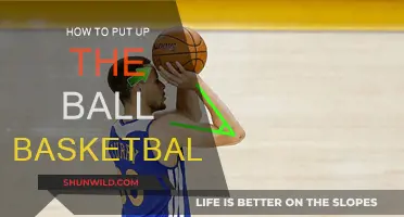 Mastering the Art of Putting Up the Basketball